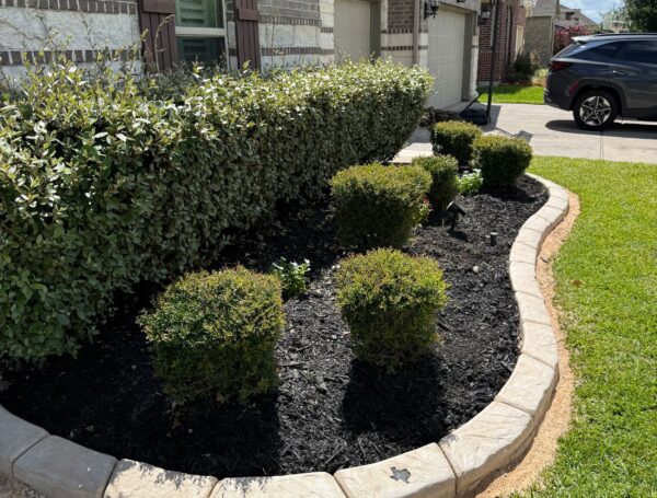 Landscape Concrete Edging